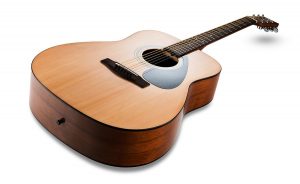 best acoustic guitar in India