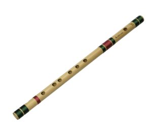 punam flutes c sharp review