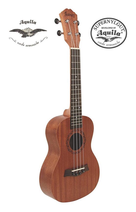 Best Ukulele for Beginners in India 2024 fret.in