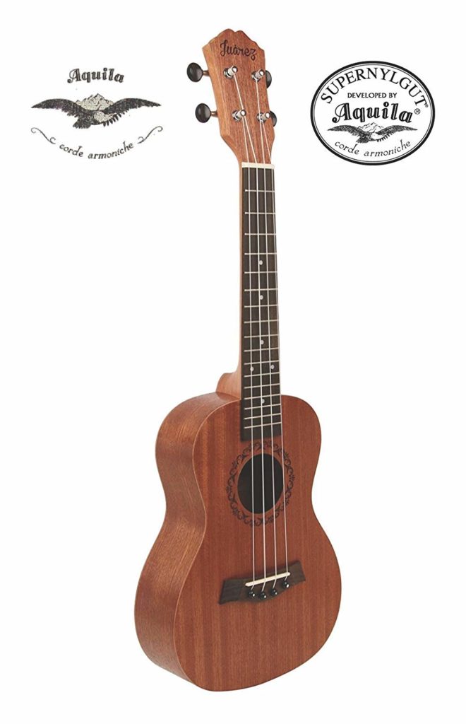 Best Ukulele for Beginners in India 2024 fret.in