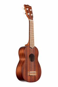 Best ukulele for beginners in india