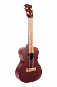 kala concert ukulele