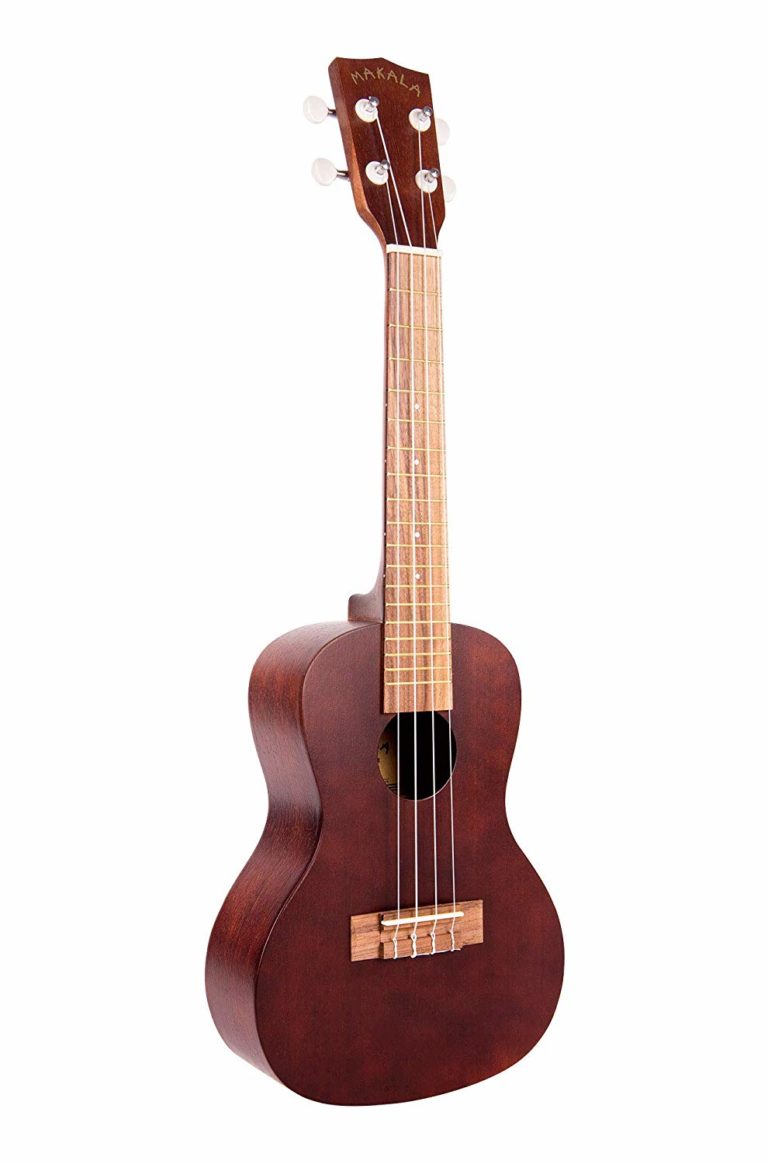 Best Ukulele for Beginners in India fret.in